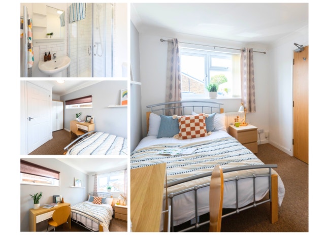 Shared Living, done differently 🏠  Main Photo
