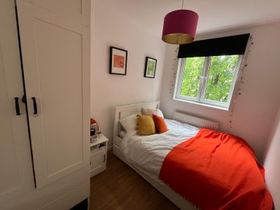 Room available in cosy 3-bed Brixton flat Main Photo