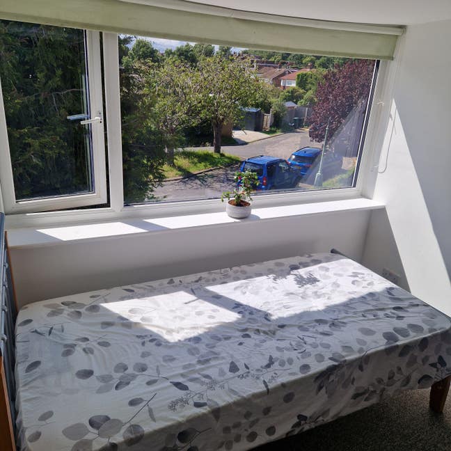Spacious Attic Room in Brighton & Hove Main Photo