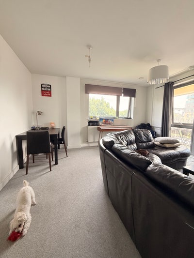 Short-term E1 Shadwell July 1month sublet  Main Photo