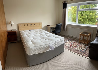 Double Room, Near Train Station and Addenbrookes  Main Photo