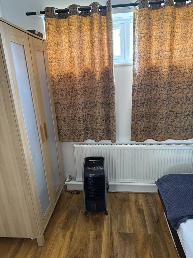 One single room available for female only  Main Photo