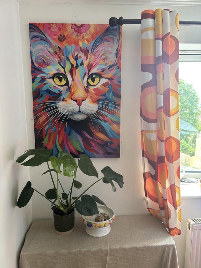 Room to let in beautiful top floor apartment  Main Photo