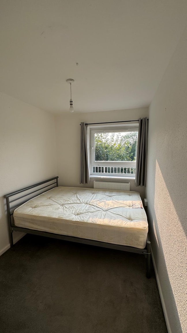 Nice single room  Main Photo