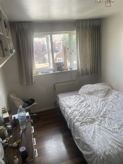 Seeking a vegetarian female for house share  Main Photo