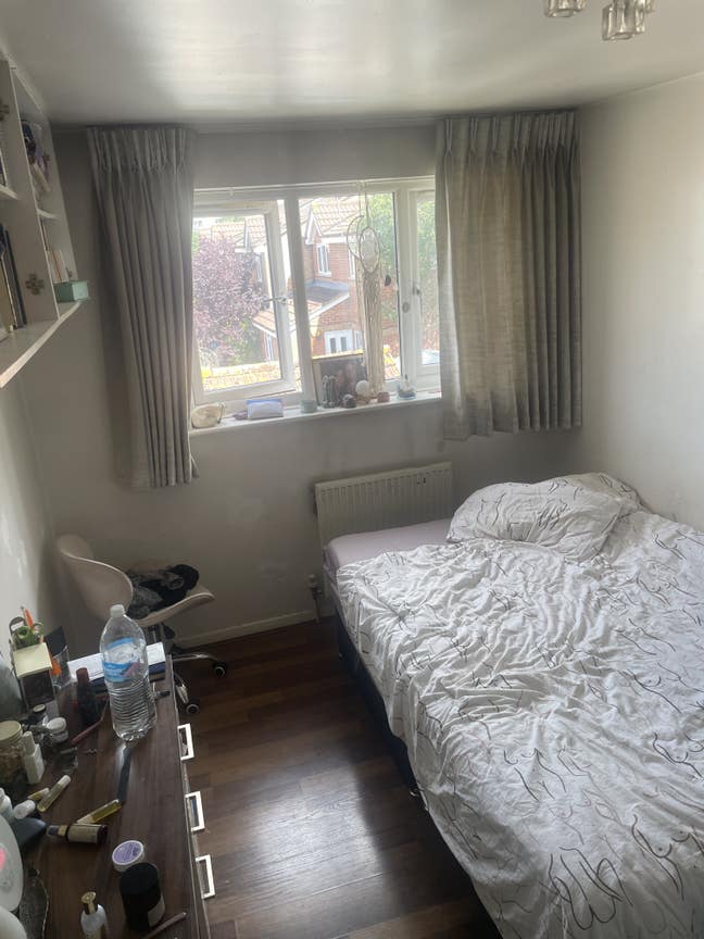 Seeking a vegetarian female for house share  Main Photo