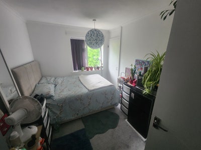 Lovely, newly décorated double bedroom.  Main Photo