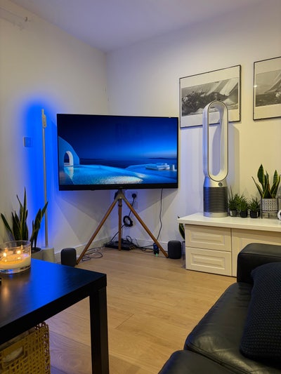 Ocean village room available  Main Photo