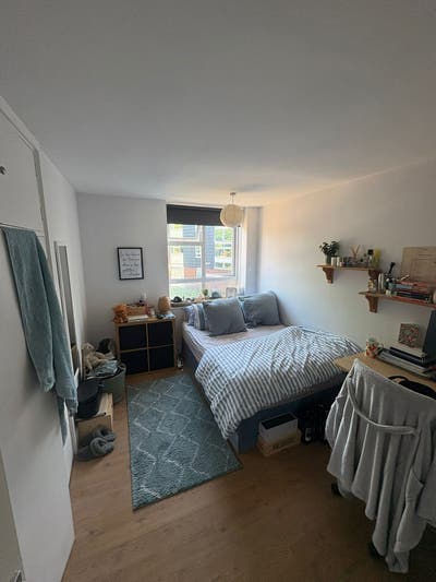 Lovely, homely flat in Clapham Junction Main Photo