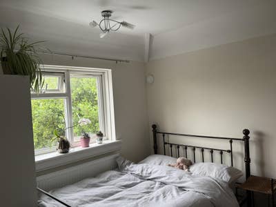 Double room to rent  Main Photo