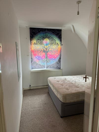 Double room in lush 4 bedroom house Main Photo