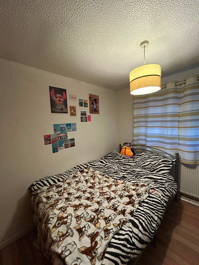 4 Bed chilled city centre house bills inc Main Photo