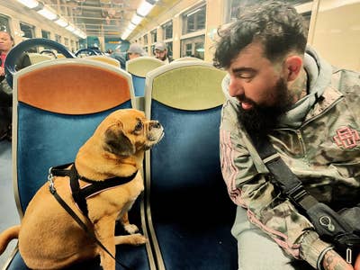 A man and a cute dog. Main Photo