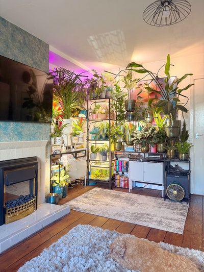 Room in cozy family home! All bills included  Main Photo