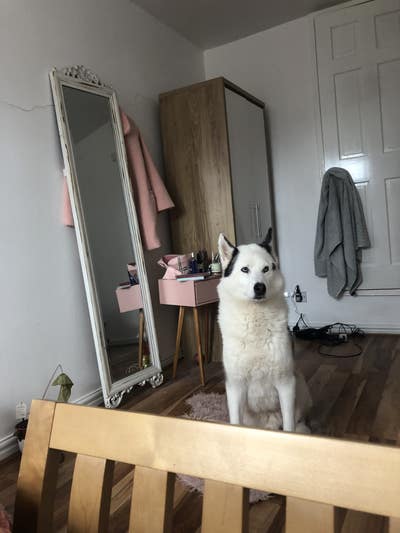 🏡 Double Room Available in a 2-Bed House – Centra Main Photo