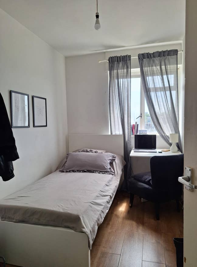 Single room in tidy flatshare Main Photo
