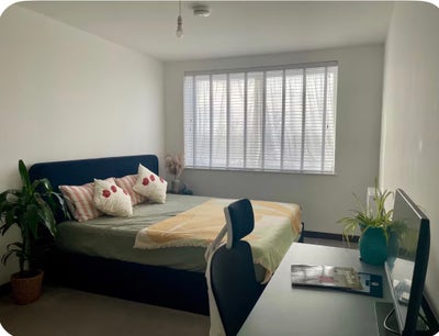 Double bed single bedroom flat Main Photo