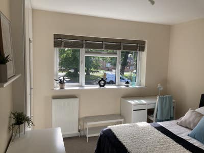 Stylish friendly houseshare, lovely garden & shed Main Photo