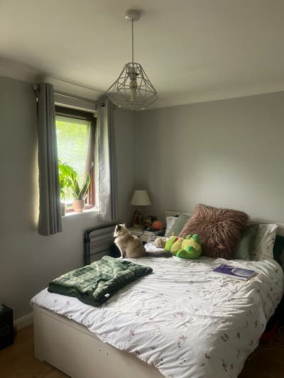 Double room in Fulham  Main Photo