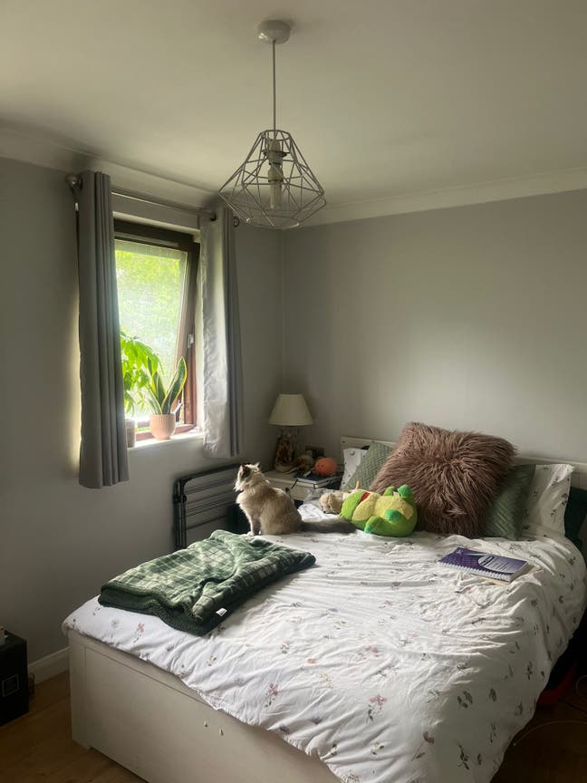 Double room in Fulham  Main Photo