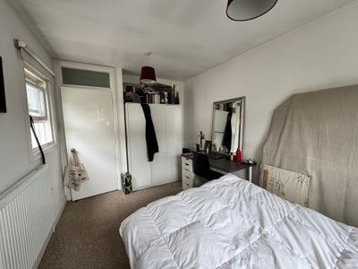 Bright double room in central london  Main Photo