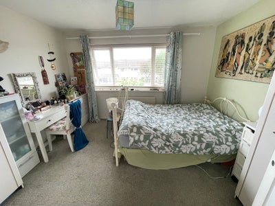 Female cat lover wtd for double rm in quiet house  Main Photo