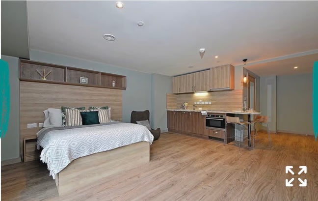 Luxury Plus Studio- Dual contract Main Photo