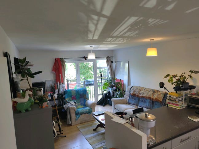 Room in a 2 bed flat in deptford, own bathroom Main Photo