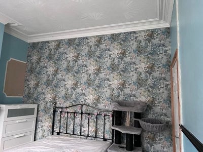 🔑 Move-In Ready Room | Bills Inc | 💷 &pound;650 (CF11) Main Photo