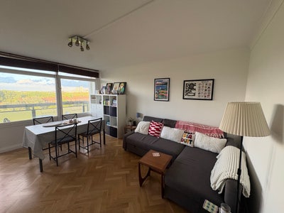 Double Room in Apartment by Hackney Marshes 🍃  Main Photo