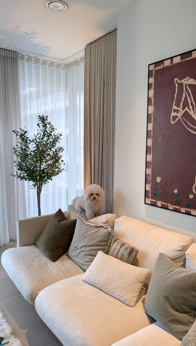 Luxury Canary Wharf Room: Lower Rent for Dog Lover Main Photo
