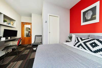 1 room + washroom + kitchen common  Main Photo