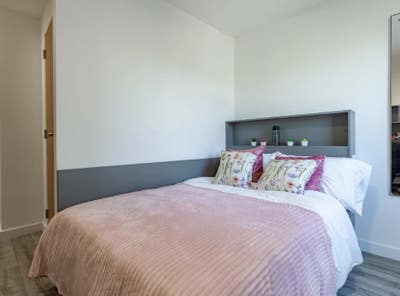 Room Available, Tenancy Takeover: Oldway Centre Main Photo