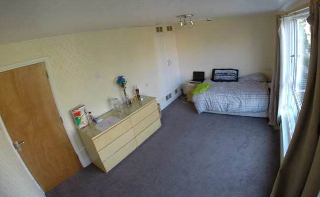V Large room - Professional House share Main Photo