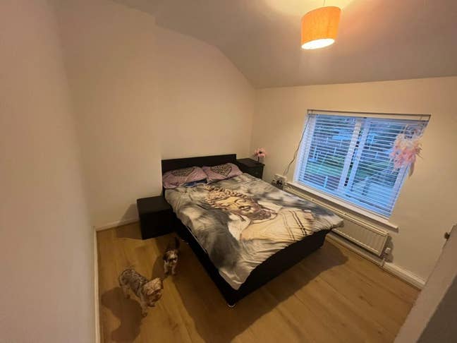 Medium room  Main Photo