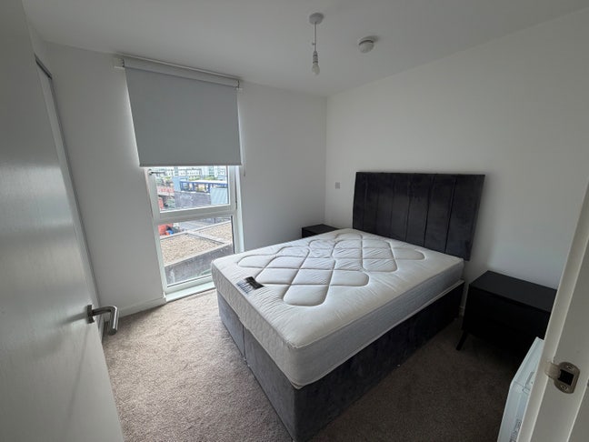 Room Available  Main Photo