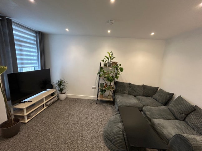 🏡 Single room available! Main Photo