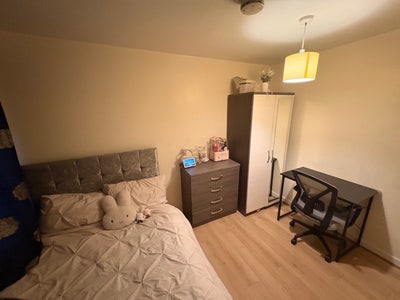 Central London Room Available  Main Photo