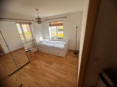 Large Double / Single room in a 6 bed house Main Photo