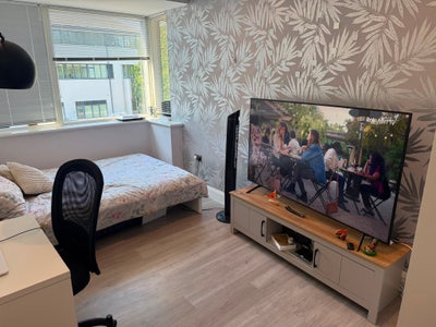 Double bedroom in leatherhead  Main Photo