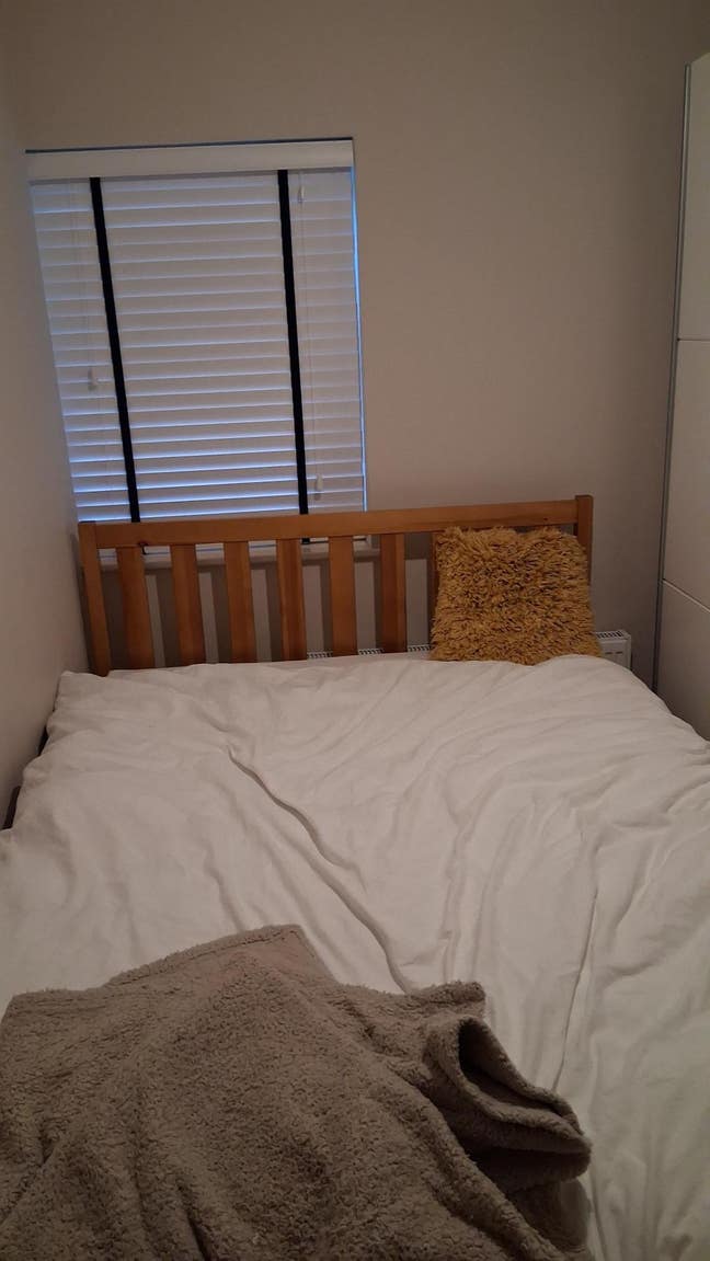 X1 Double Room Pets Are Welcome Main Photo