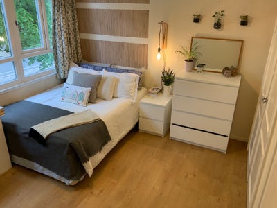 Perfect Putney Pad! Main Photo