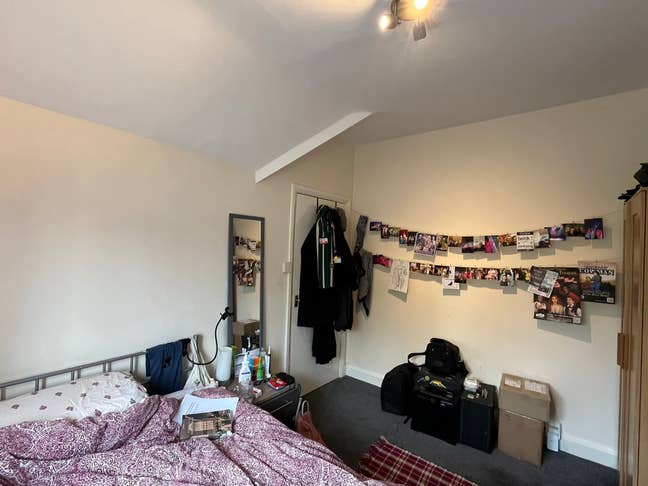 Double Room in Queer Household, Near Florence Park Main Photo
