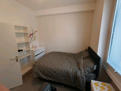 Room for rent buccleuch Street next to university Main Photo
