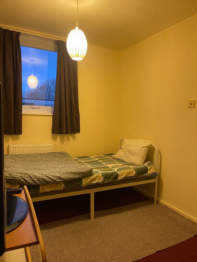 Single room for rent Main Photo