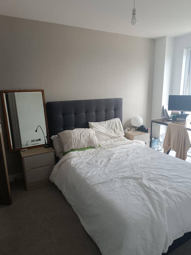 Looking For A New Flatmate Main Photo