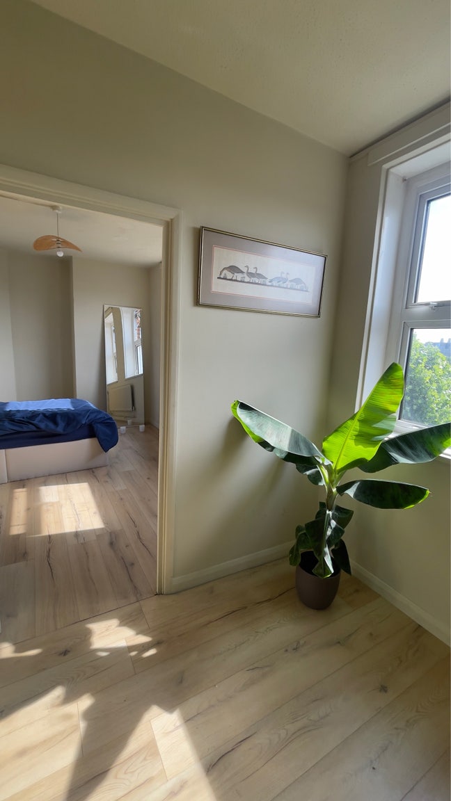 Double room for rent in W10  Main Photo
