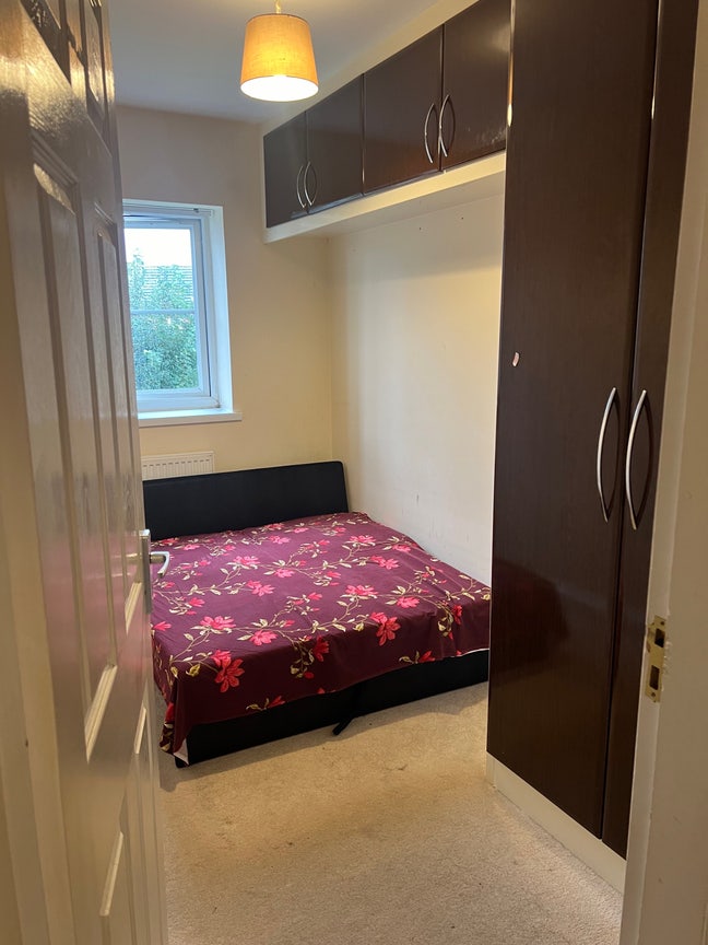 Big single room available  Main Photo