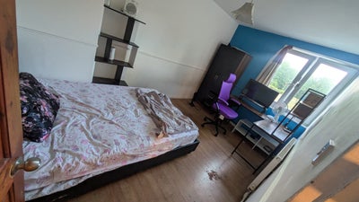 Big double room 5 mins to Woolwich stn Main Photo