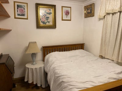 Pretty room in shared flat in White City Main Photo